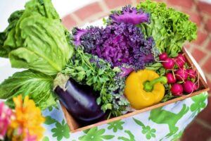 色鮮やかな野菜の写真